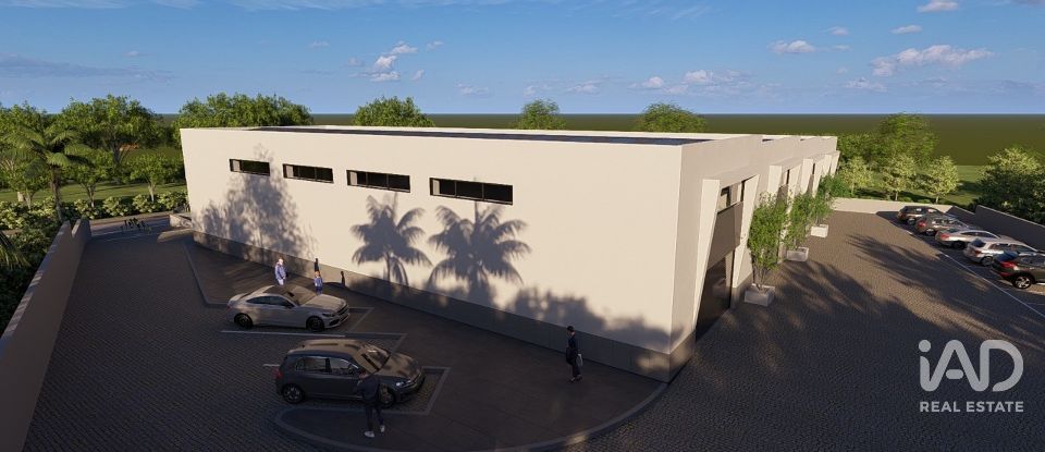 Shop / premises commercial in Almancil of 300 m²