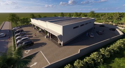 Boutique/Local commercial à Almancil de 300 m²