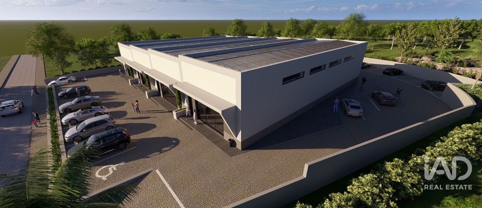 Shop / premises commercial in Almancil of 300 m²