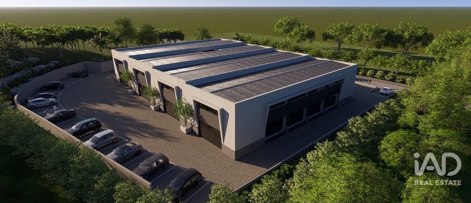 Shop / premises commercial in Almancil of 300 m²