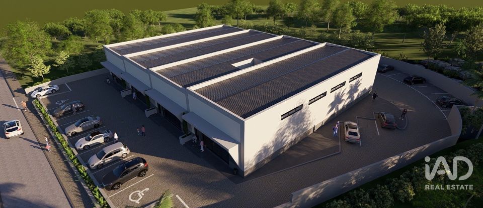 Shop / premises commercial in Almancil of 300 m²