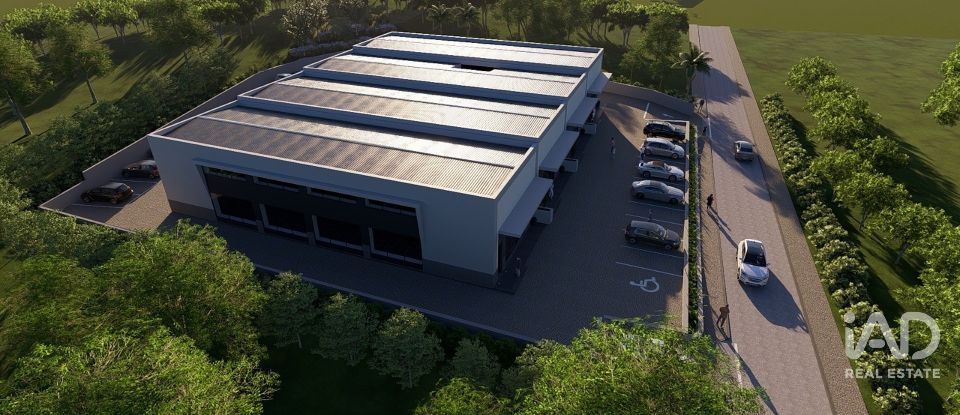 Shop / premises commercial in Almancil of 300 m²