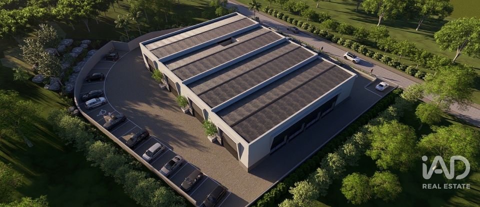 Shop / premises commercial in Almancil of 300 m²