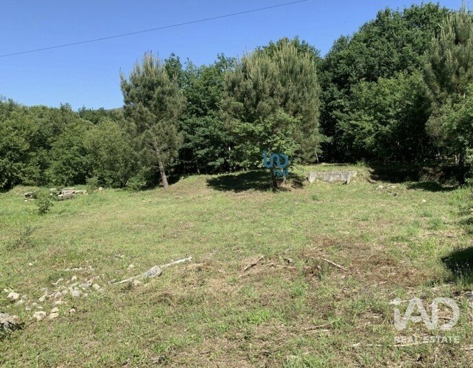 Terreno rústico em Covas de 1 990 m²