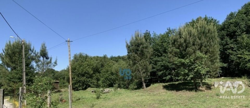 Terreno rústico em Covas de 1 990 m²