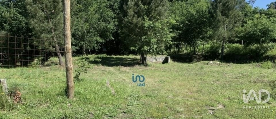 Terreno rústico em Covas de 1 990 m²