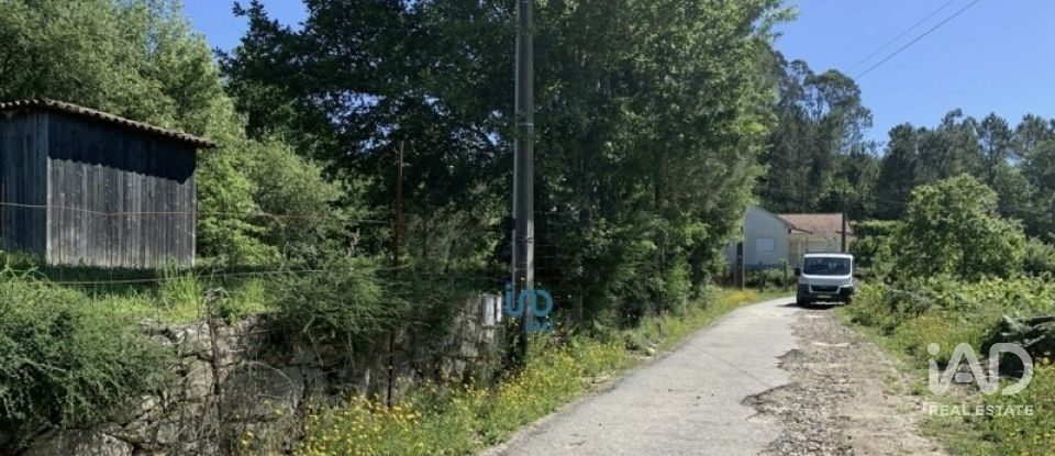 Terreno rústico em Covas de 1 990 m²