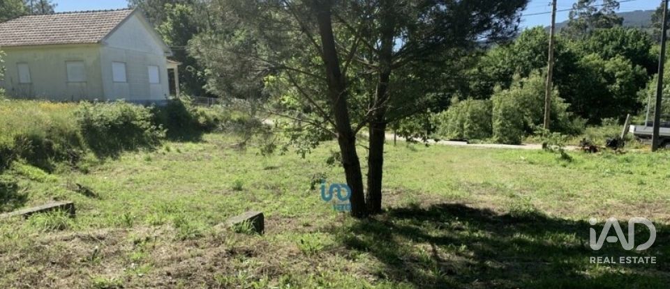 Terreno rústico em Covas de 1 990 m²
