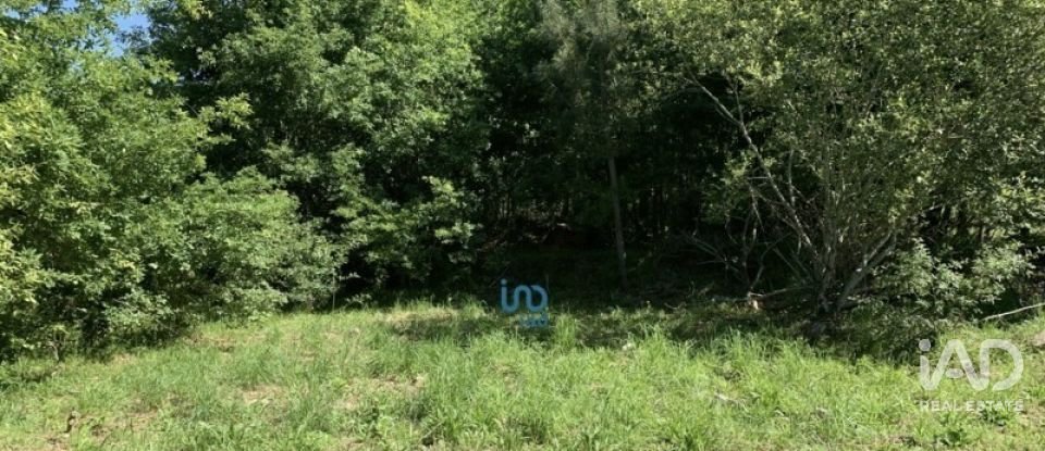 Terreno rústico em Covas de 1 990 m²