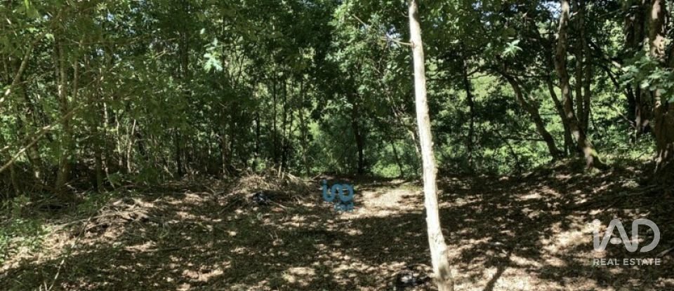 Terreno rústico em Covas de 1 990 m²