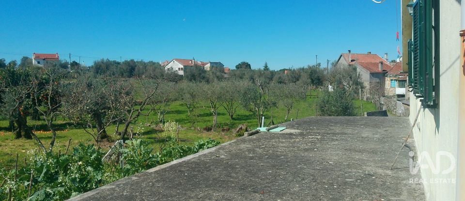 Maison T6 à Travanca de Lagos de 281 m²