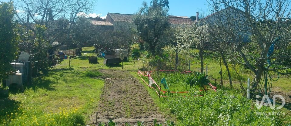 Maison T6 à Travanca de Lagos de 281 m²