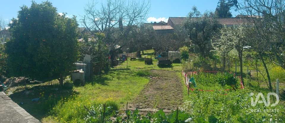 Maison T6 à Travanca de Lagos de 281 m²