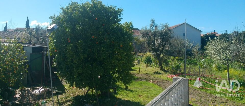 Maison T6 à Travanca de Lagos de 281 m²