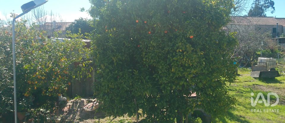 Maison T6 à Travanca de Lagos de 281 m²