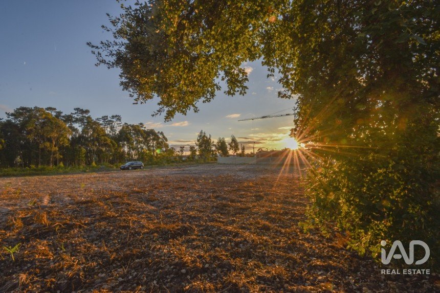 Terreno rústico em Marinha Grande de 4 256 m²