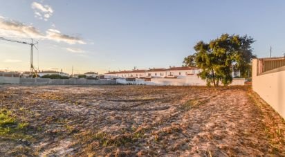 Terrain agricole à Marinha Grande de 4 256 m²