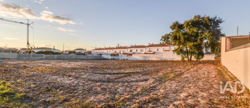 Terreno rústico em Marinha Grande de 4 256 m²