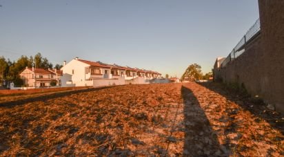 Terrain agricole à Marinha Grande de 4 256 m²