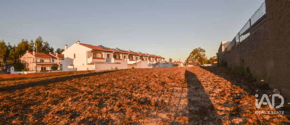 Terreno rústico em Marinha Grande de 4 256 m²