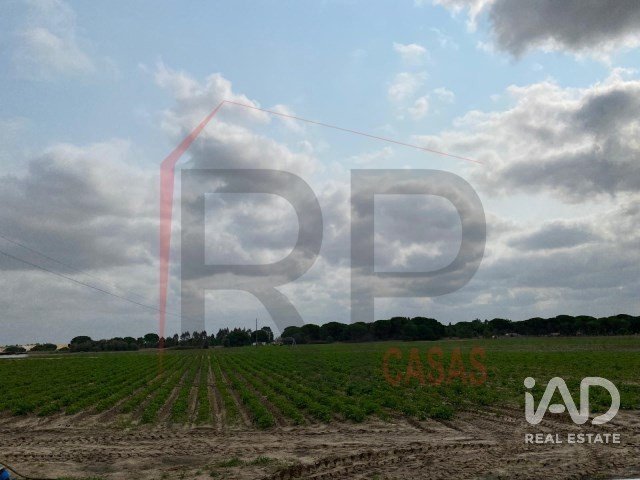 Terrain agricole à Pegões de 39 500 m²