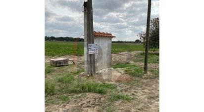 Terrain agricole à Pegões de 39 500 m²