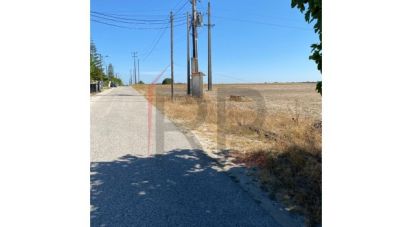 Terrain agricole à Pegões de 39 500 m²