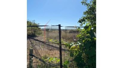 Terrain agricole à Pegões de 39 500 m²