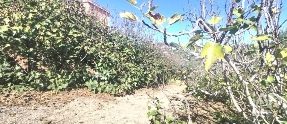 Terreno urbano em São Brás de Alportel de 1 170 m²