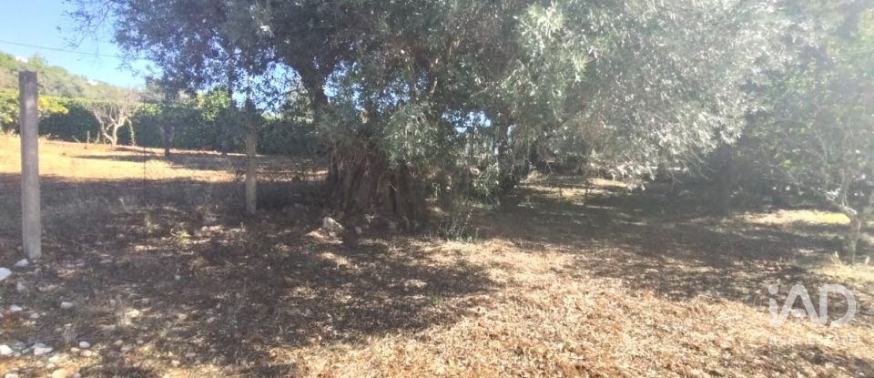 Terreno urbano em São Brás de Alportel de 1 170 m²