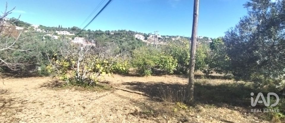 Terreno urbano em São Brás de Alportel de 1 170 m²