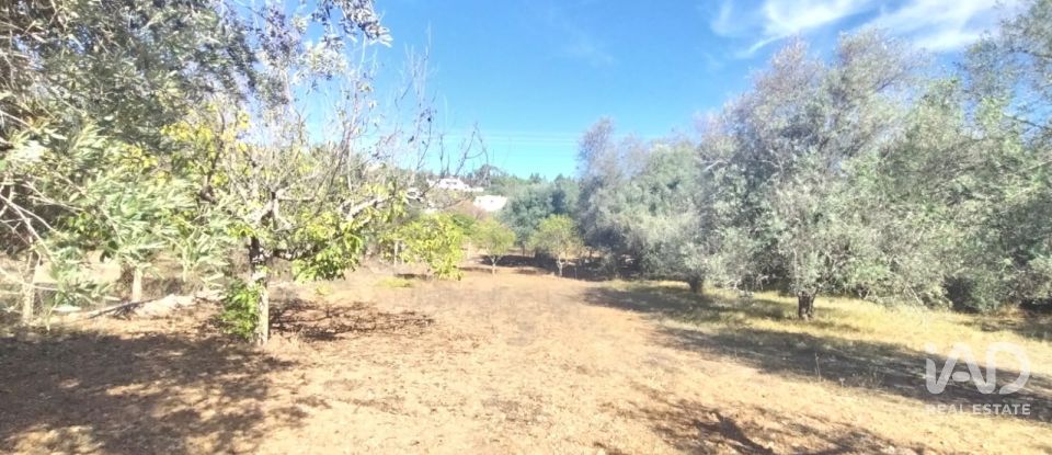 Terreno urbano em São Brás de Alportel de 1 170 m²
