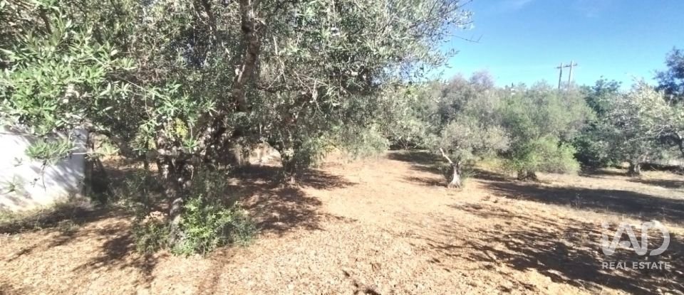 Terreno urbano em São Brás de Alportel de 1 170 m²