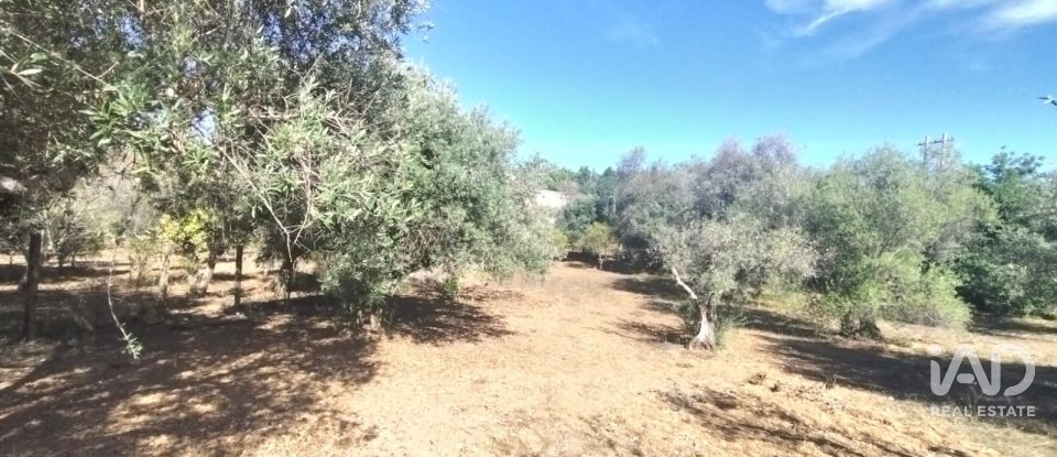 Terreno urbano em São Brás de Alportel de 1 170 m²