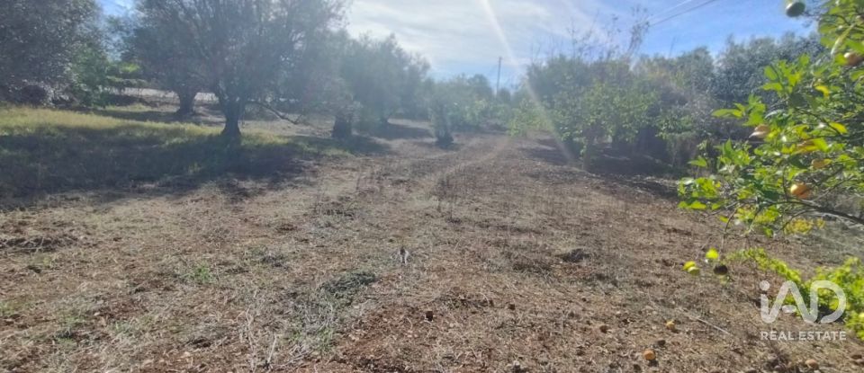 Terreno urbano em São Brás de Alportel de 1 170 m²