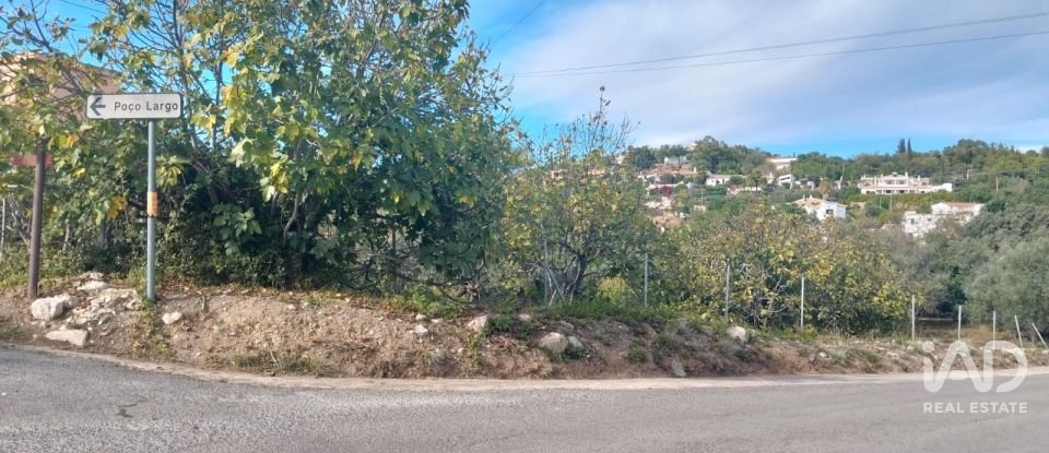 Terreno urbano em São Brás de Alportel de 1 170 m²