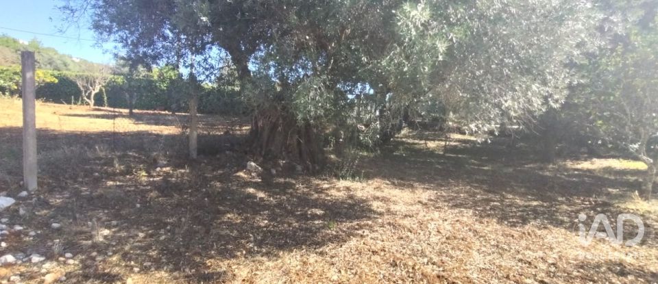 Terreno urbano em São Brás de Alportel de 1 170 m²