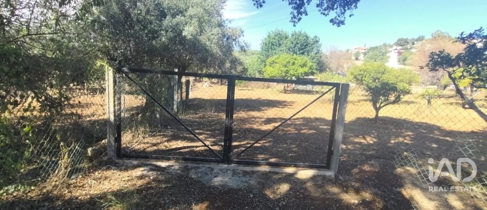 Terreno urbano em São Brás de Alportel de 1 170 m²