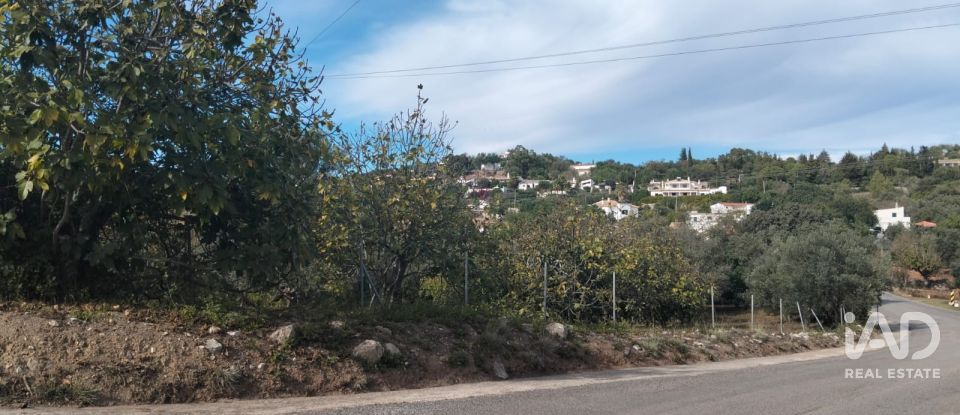 Terreno urbano em São Brás de Alportel de 1 170 m²