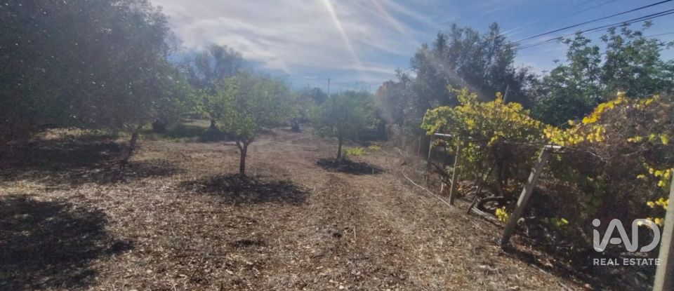 Terreno urbano em São Brás de Alportel de 1 170 m²