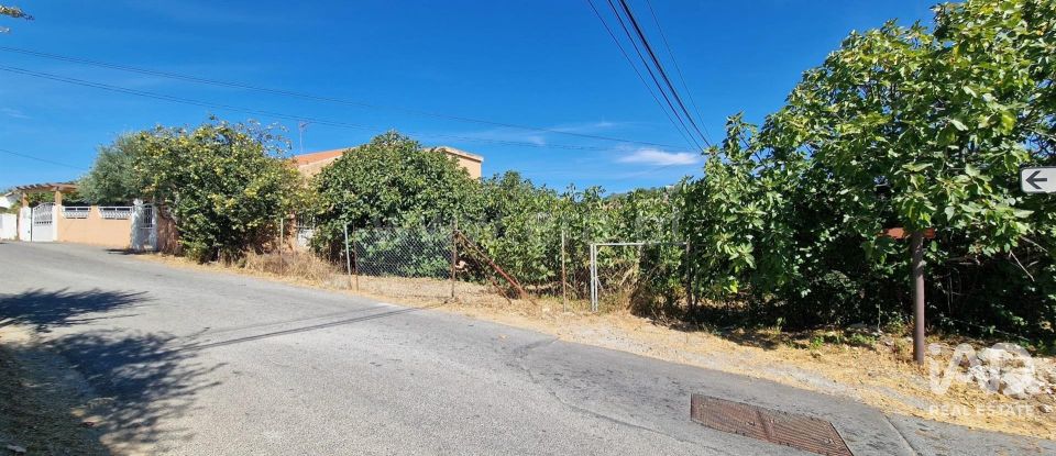 Terreno urbano em São Brás de Alportel de 1 170 m²
