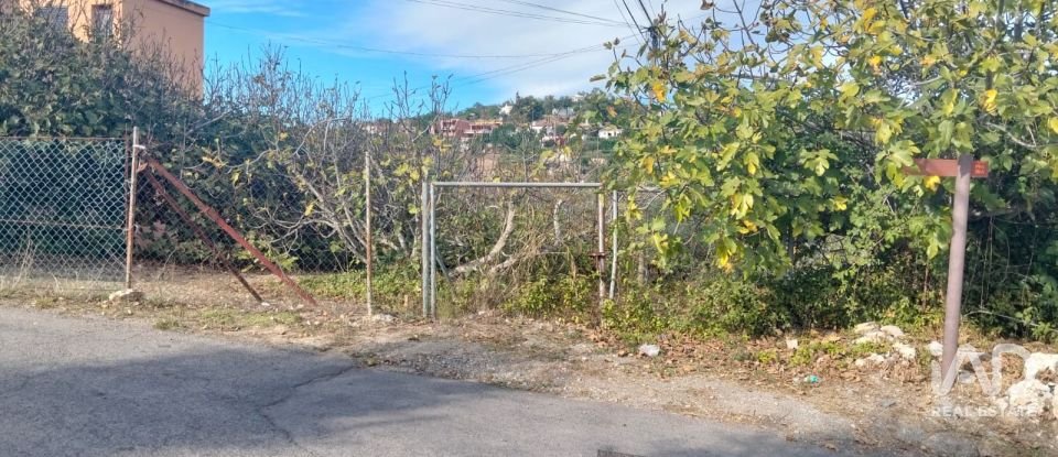 Terreno urbano em São Brás de Alportel de 1 170 m²