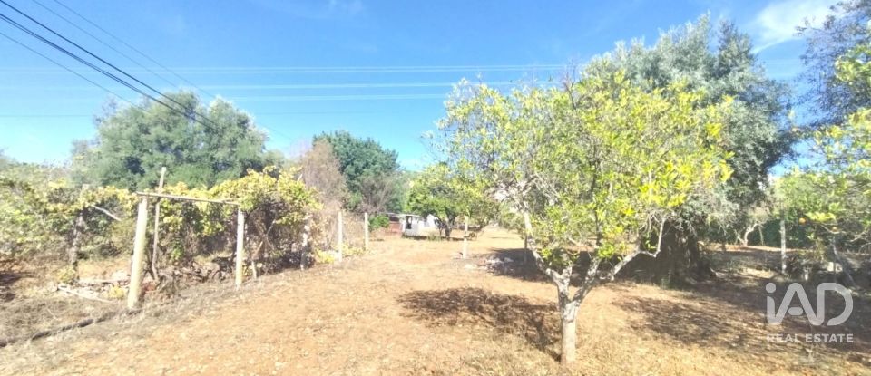 Terreno urbano em São Brás de Alportel de 1 170 m²