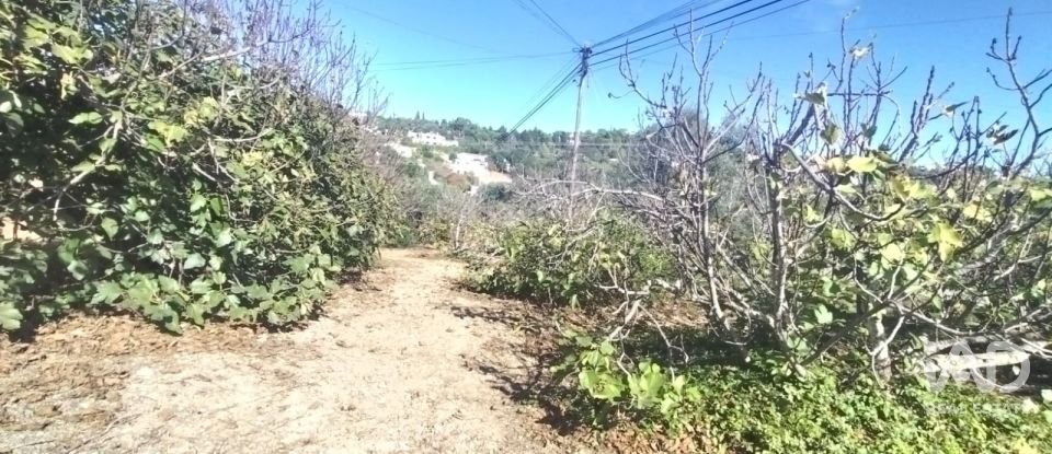 Terreno urbano em São Brás de Alportel de 1 170 m²