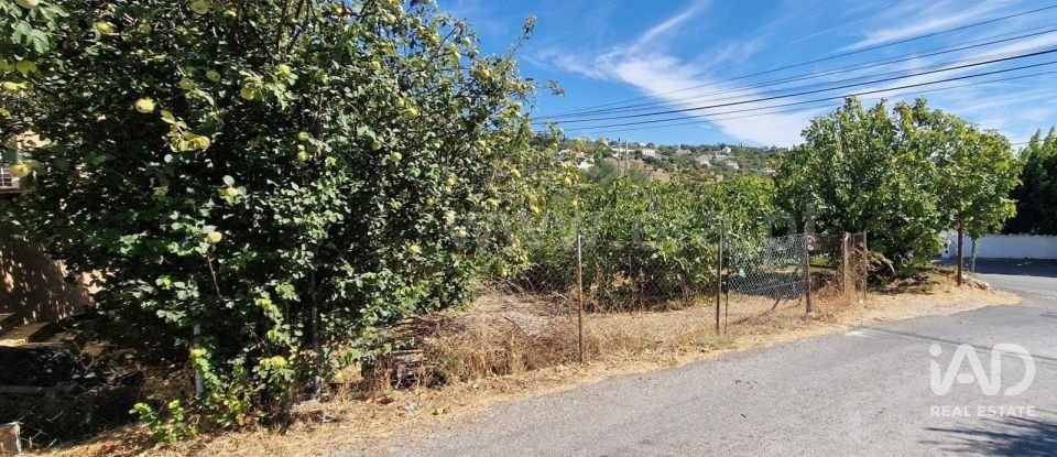 Terreno urbano em São Brás de Alportel de 1 170 m²