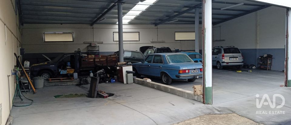 Shop / premises commercial in Asseiceira of 600 m²