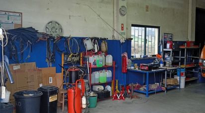 Boutique/Local commercial à Asseiceira de 600 m²