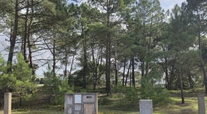 Terrain à bâtir à Sesimbra (Castelo) de 255 m²