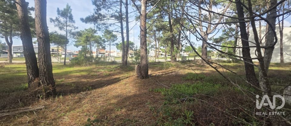 Terreno urbano em Sesimbra (Castelo) de 255 m²