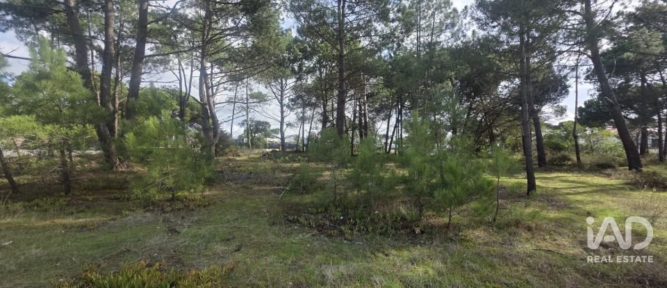 Terreno urbano em Sesimbra (Castelo) de 255 m²